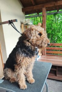 277888685_1161637367989915_7675227556500798567_n