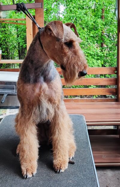 277893510_388651086189055_5299601135304870122_n